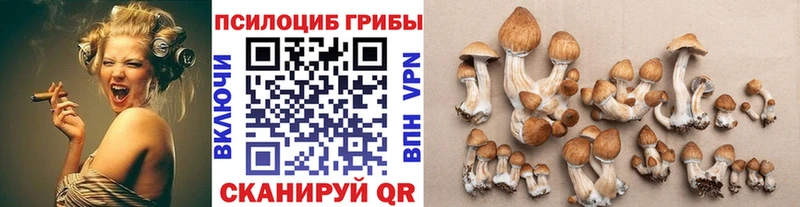 даркнет сайт Балей Галлюциногенные грибы мухоморы